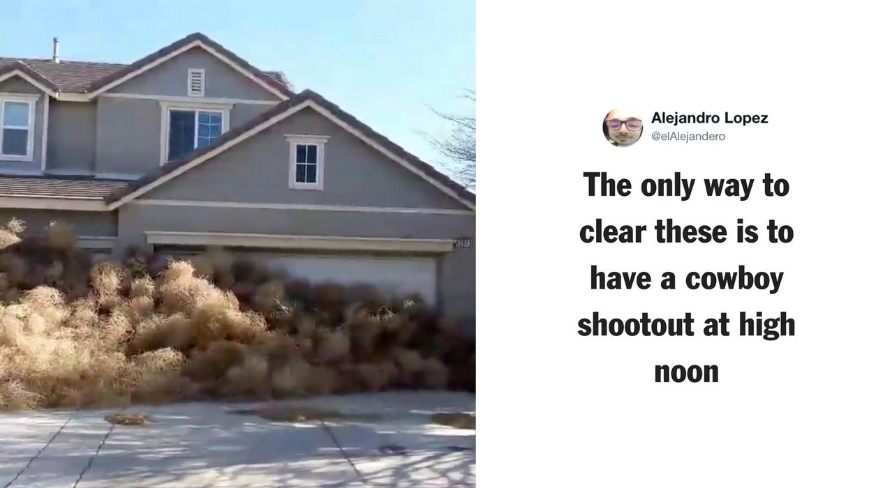 Huge Accumulation of Tumbleweeds Overwhelm Victorville in California Due to High Winds
