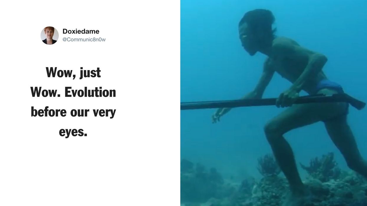 Bajau Divers Can Hold Their Breath Longer Due to Larger Spleens From Genetic Mutation