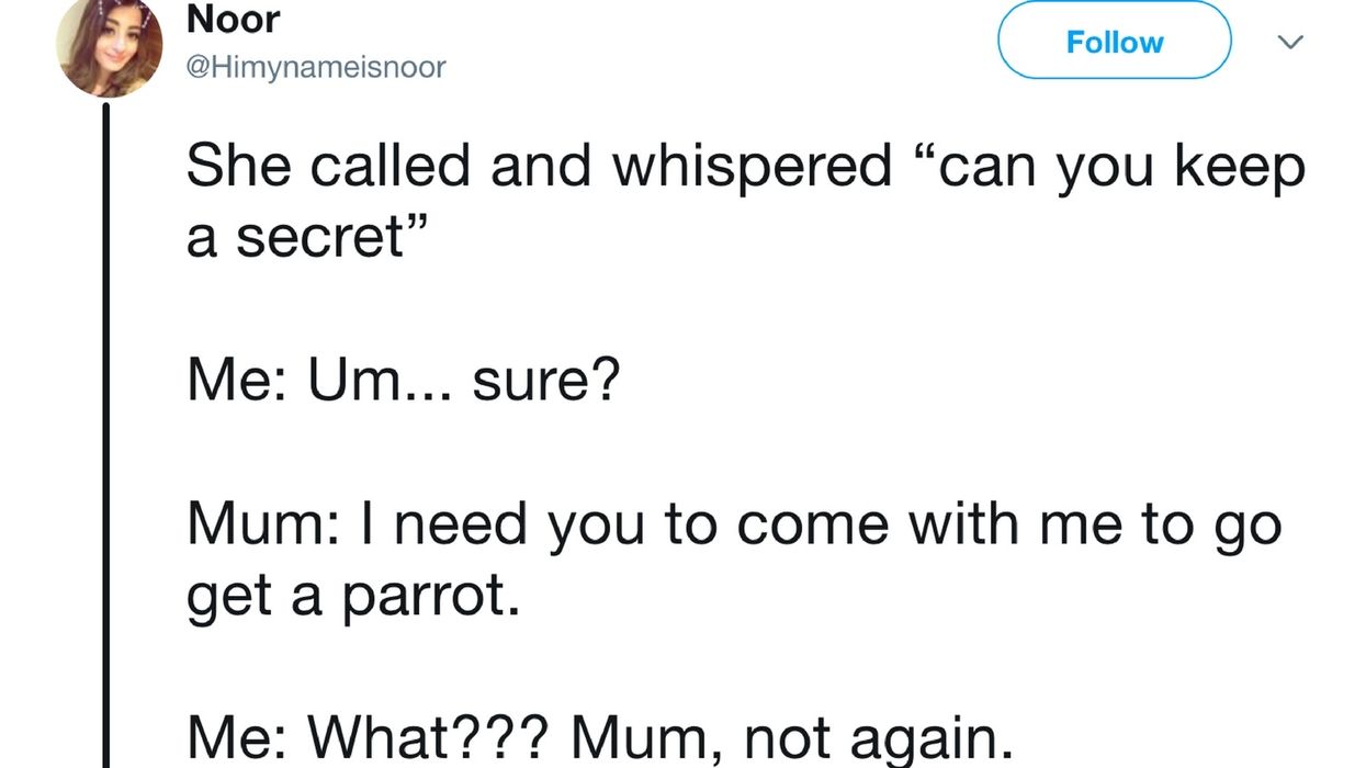 Mom's Secret Plot To Buy A Parrot Is Truly The Stuff Of Legend