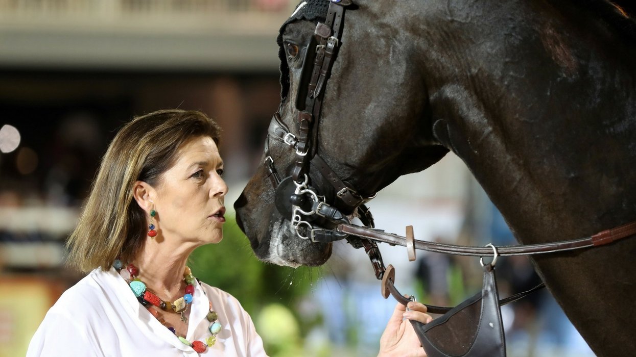 New Study Reveals Why You Should Never Frown At A Horse