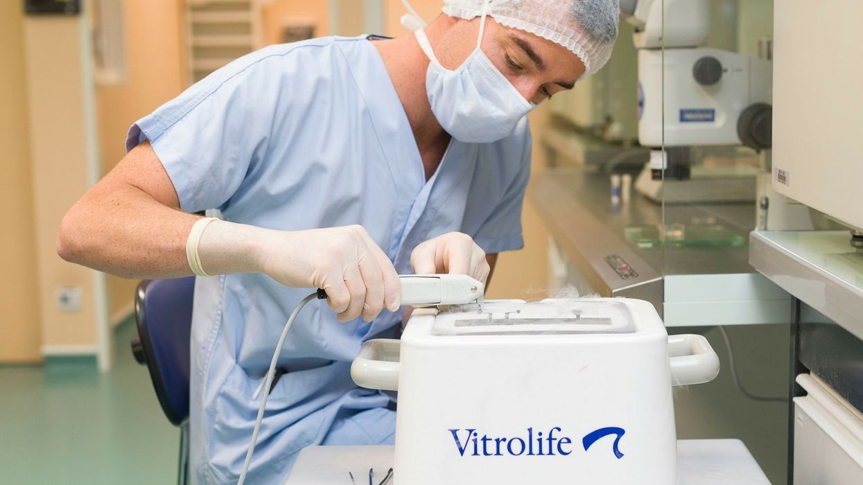 Woman Forges Ex-Husband's Signature for IVF Treatments—Now the Court Is Ordering Him to Pay Child Support