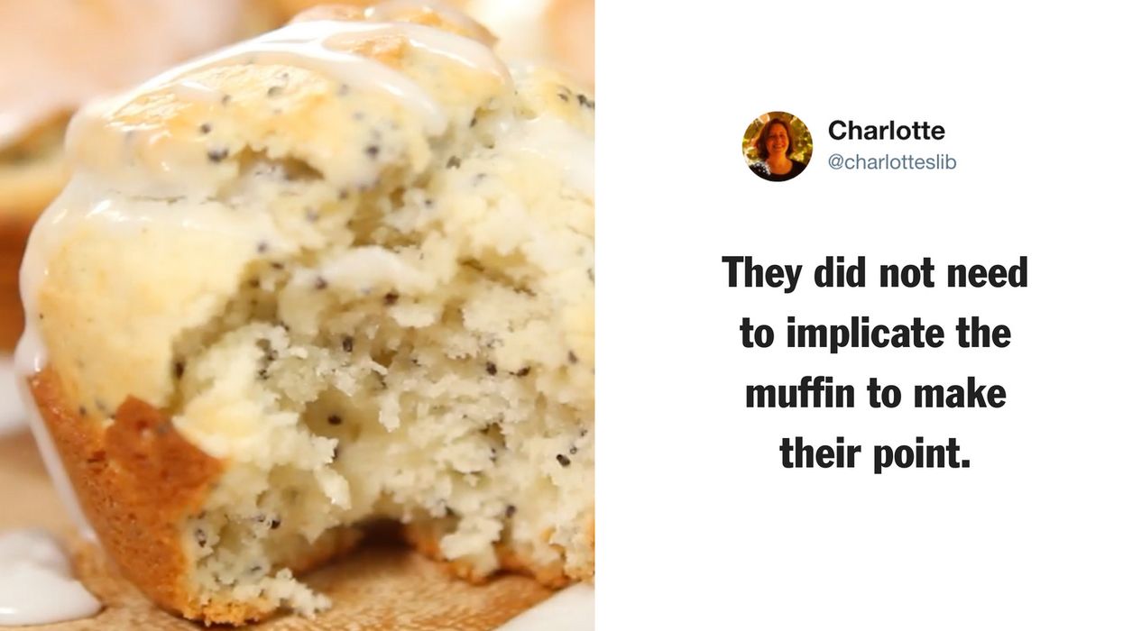 A CDC Tweet About Ticks Totally Ruined Poppyseed Muffins For Everyone