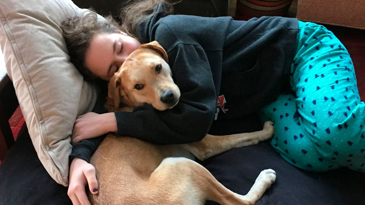 New Study Finds Reasons Why Sleeping With Your Dog Is Bad For You