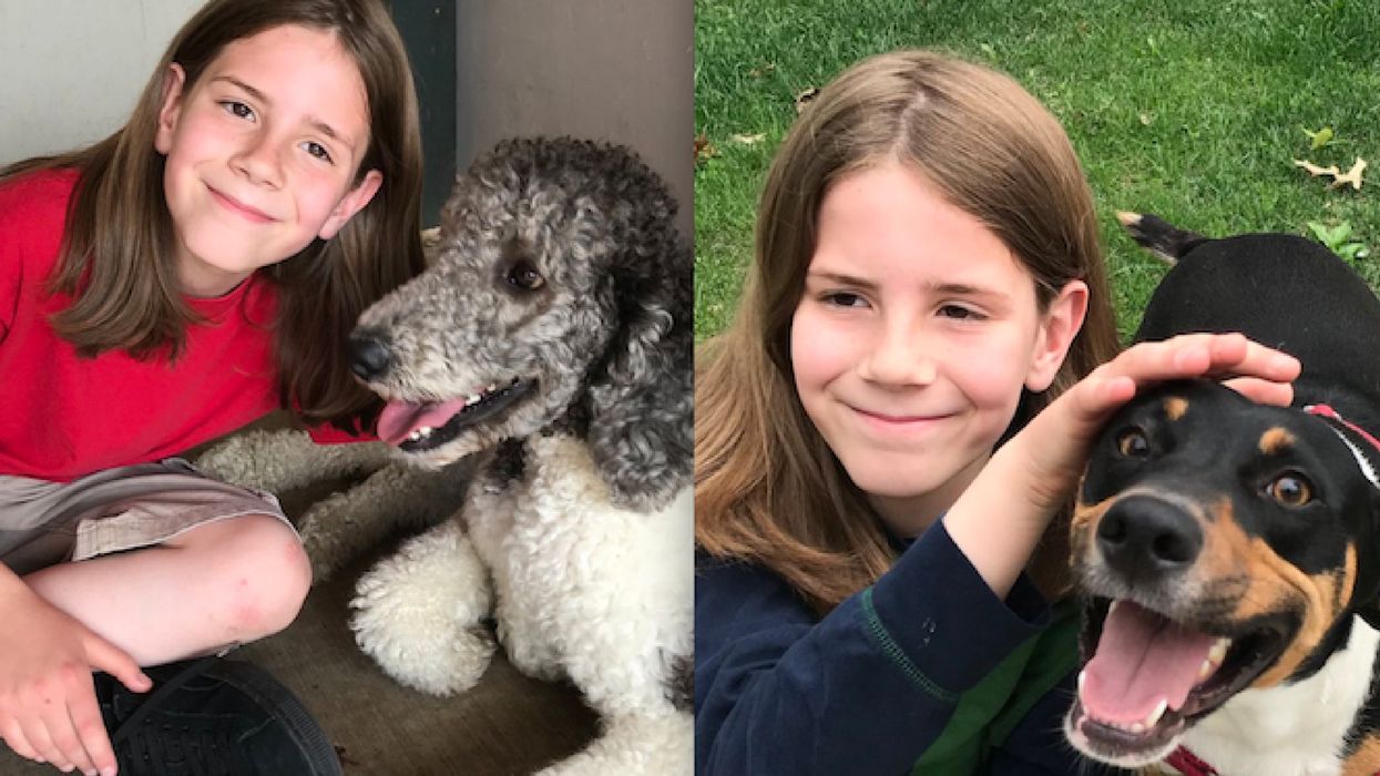 This Twitter Account Of A 9-Year-Old Boy's Adventures Petting Different Dogs Is Too Pure ๐