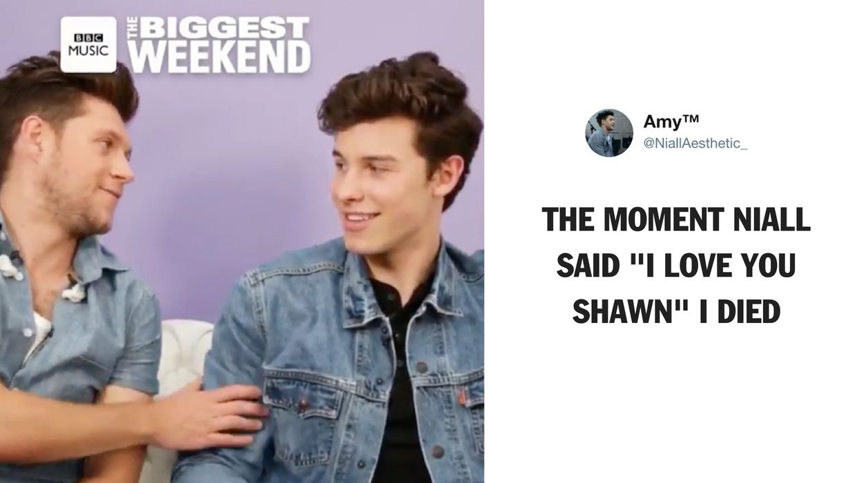 Niall Horan And Shawn Mendes Have A Bromance For The Ages—And We Need More 😍