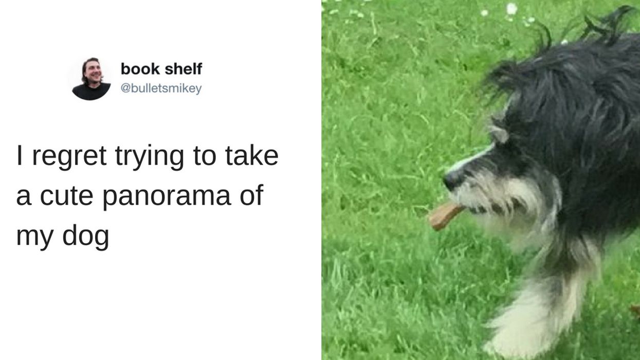 Dog Ends Up the Victim of a Panoramic Photo Fail—& We Can't Look Away 😂