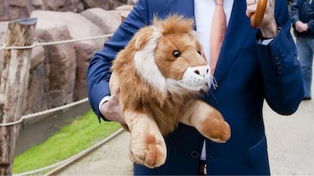 Canadian Couple Loses Custody Of Their Daughter After God-Channeling Stuffed Lion Acts As Their Lawyer