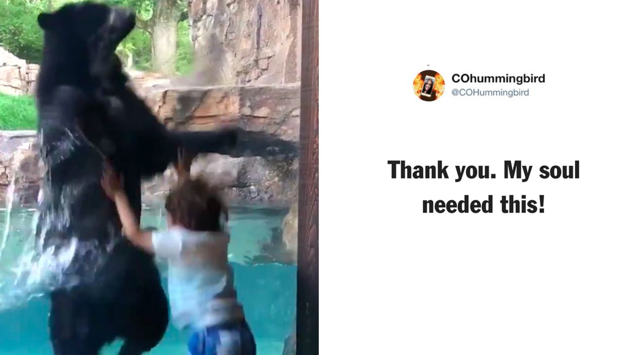 Adorable Video Of A Bear And A Little Boy Jumping In Unison Is Too Pure đđ»