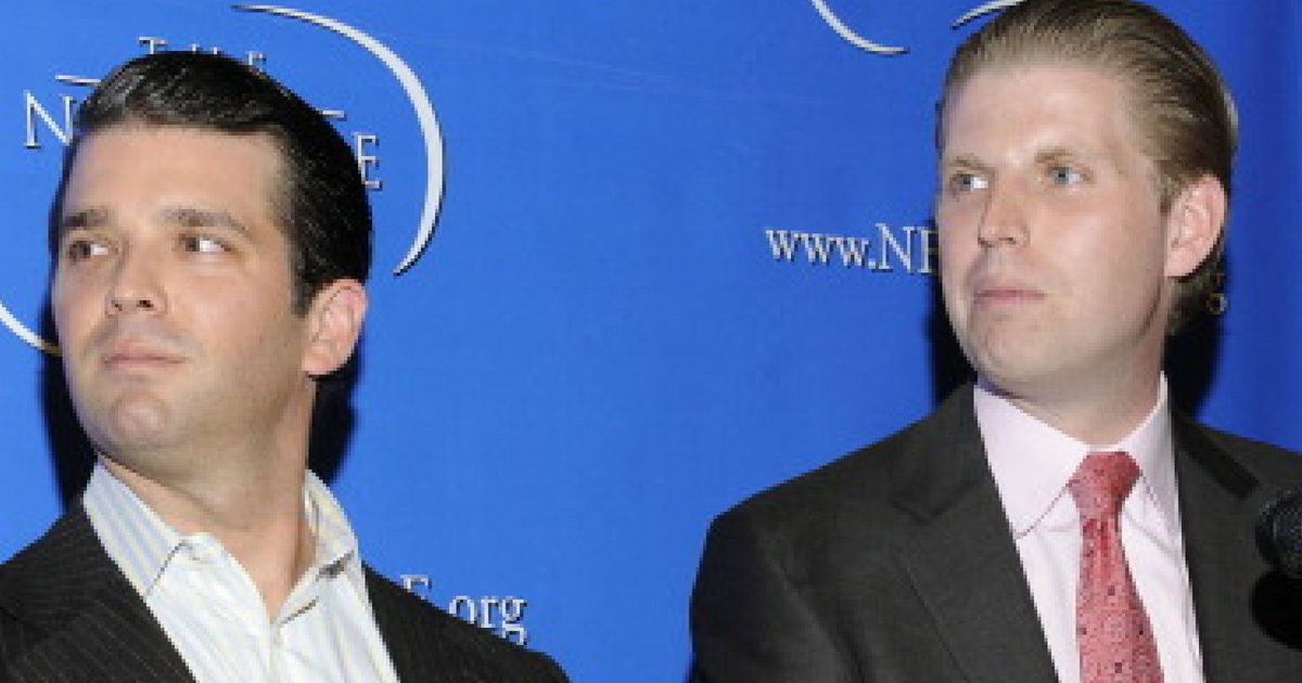 The Internet Is Roasting The Hell Out Of A Photo Of Don Jr. And Eric Trump 😂