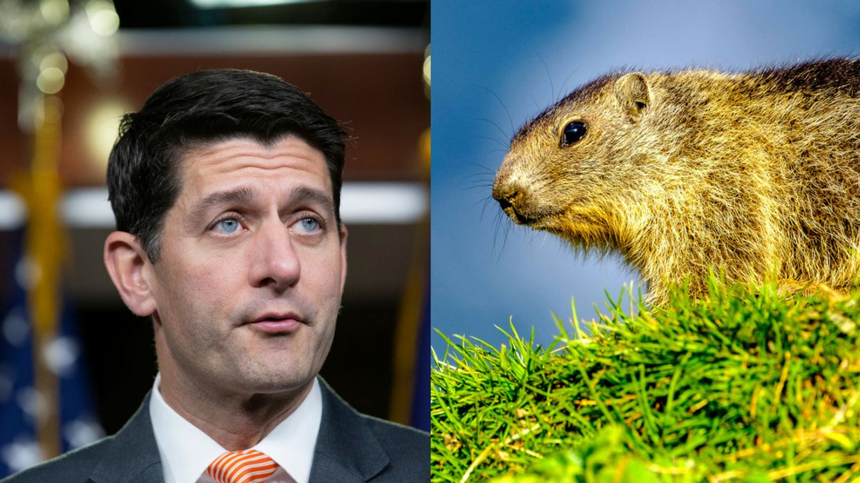 Apparently, Even Woodchucks Hate Paul Ryan