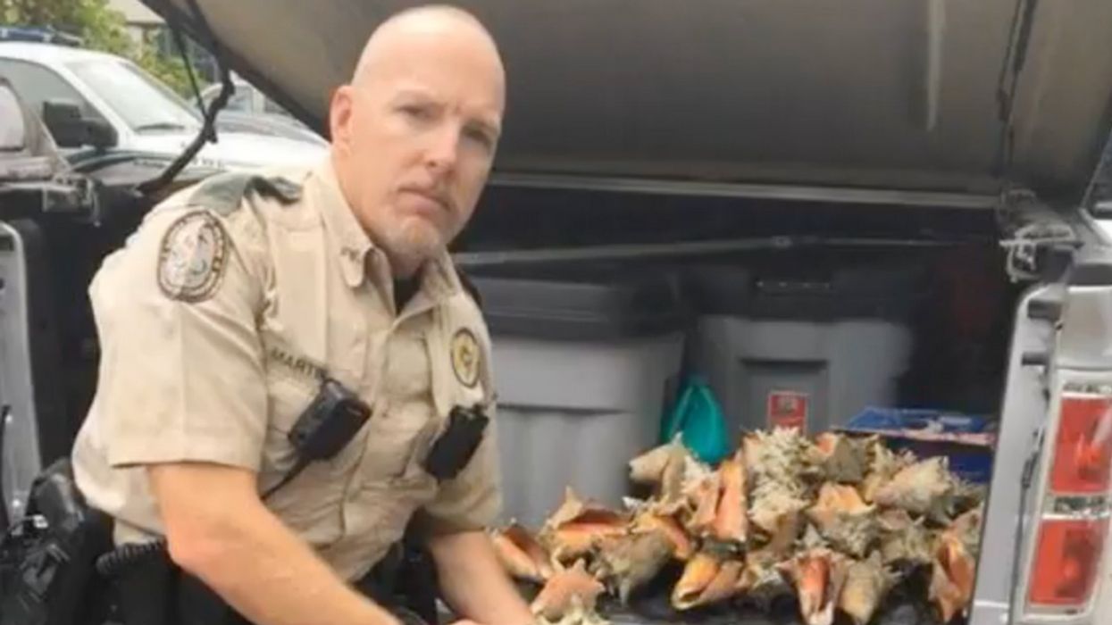 Why This Woman Was Arrested For Collecting Mollusks On The Beach In Florida Is A Surprise To Many
