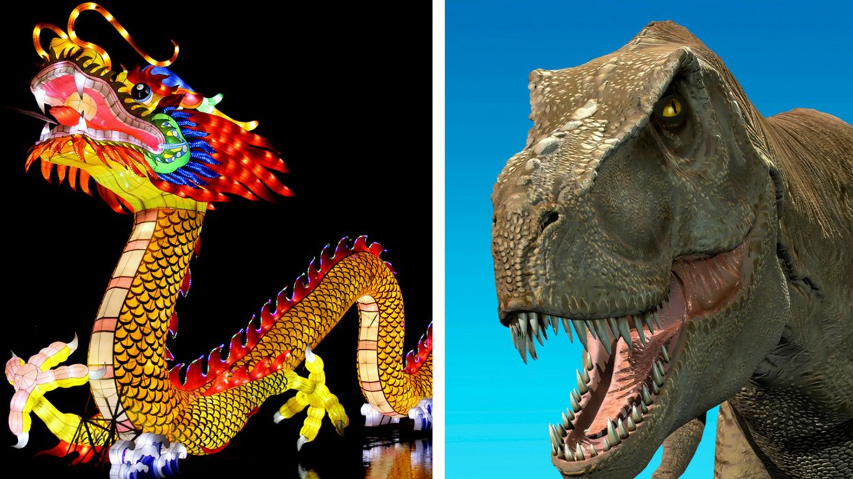 New Dinosaur Discovery Called 'Amazing Dragon' By Chinese Scientists