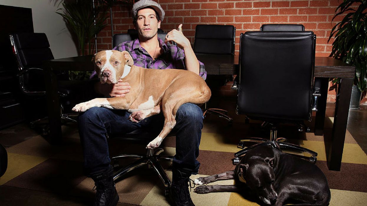 Is There Anything Cuter Than This 'Walking Dead' Star And His Rescue Pit Bulls?