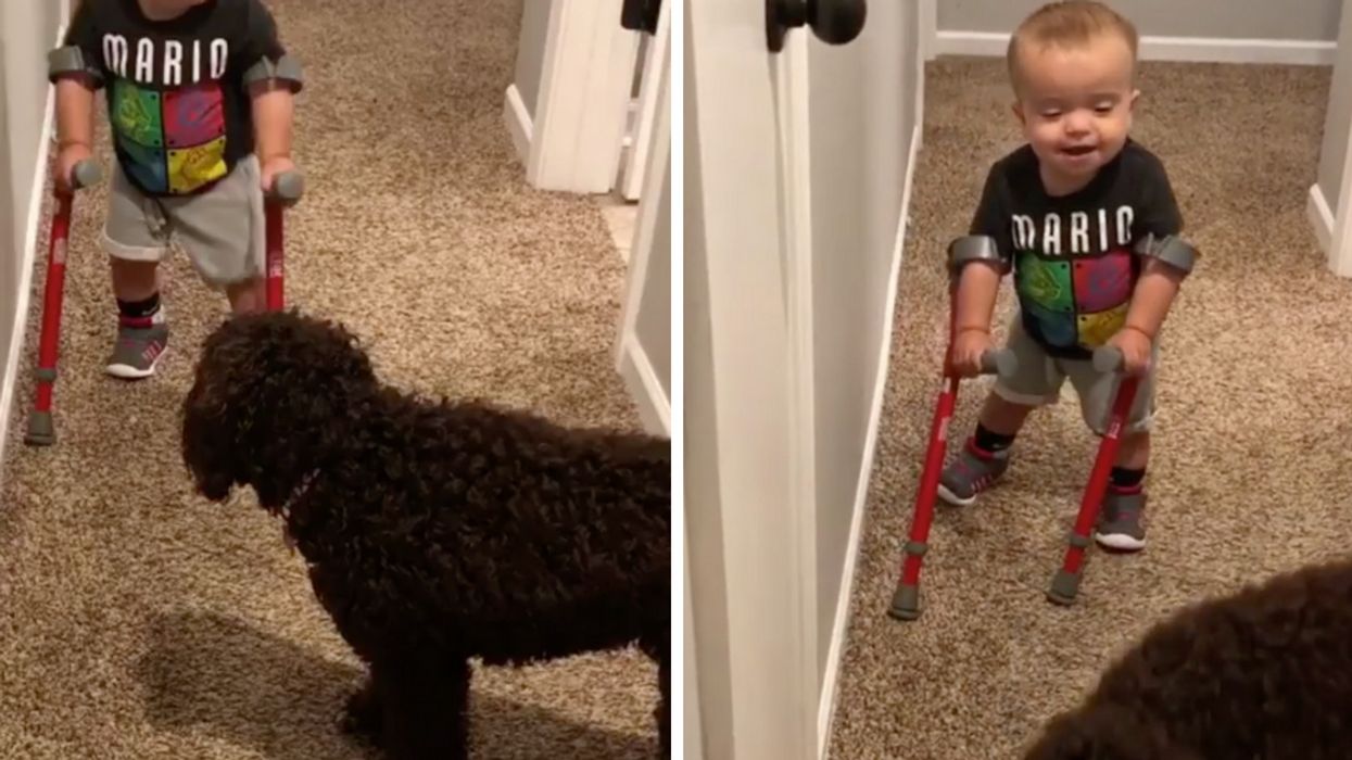 2-Year-Old Who Defied The Odds By Learning To Walk Has The Purest Interaction With His Dog—And Now We're Crying 😭