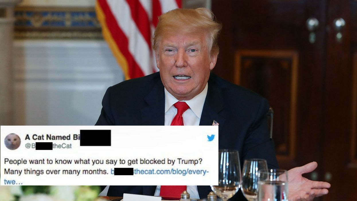 Donald Trump Blocked A 'Cat' On Twitter—And We've Hit A New Low 😹