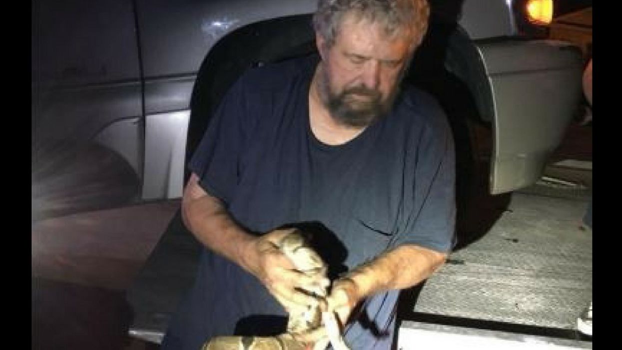 Wisconsin Woman Opens The Hood Of Her Car To Find A Massive African Python Surprise 😱