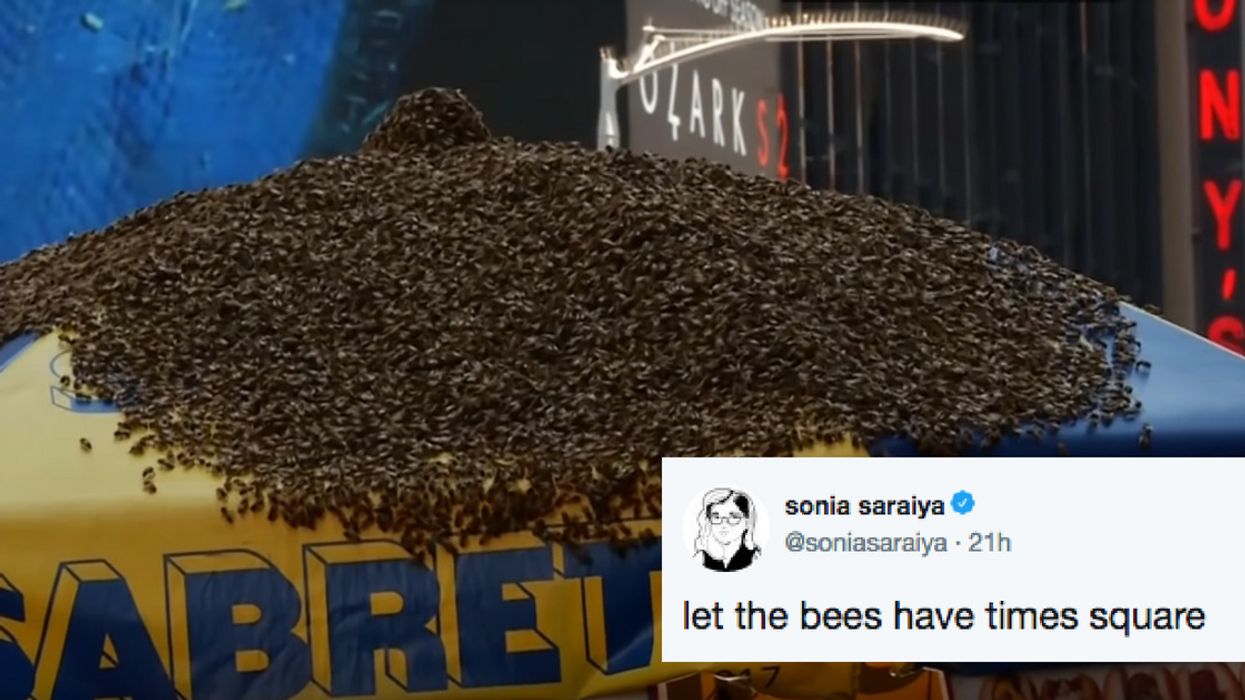 An Enormous Swarm Of Bees Decided To Take Over A Hot Dog Stand In Times Square đźđ