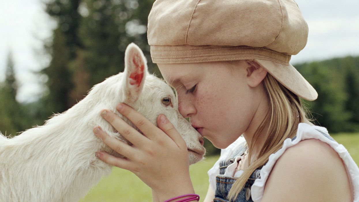 Goats May Be More Intuitive About Human Emotions Than We Thought, New Study Concludes đ