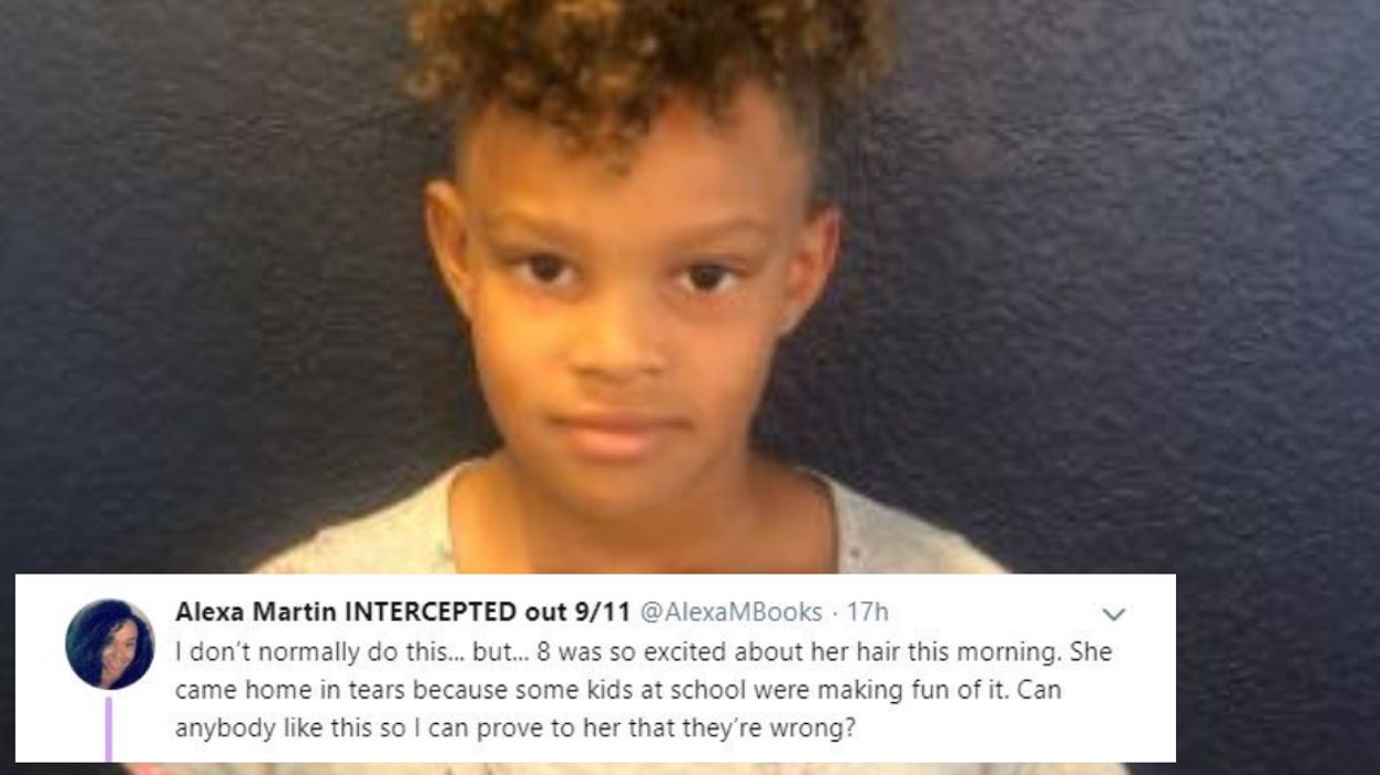 Little Girl Gets Bullied For Her Hair—But The Internet Came Through For Her Big Time ❤️
