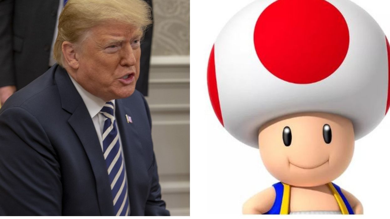 Buzzfeed Had To Issue The Best Correction After Stormy Daniels Compared Trump's Manhood To Toad From The Mario Games