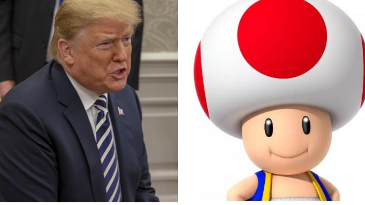Buzzfeed Had To Issue The Best Correction After Stormy Daniels Compared Trump's Manhood To Toad From The Mario Games