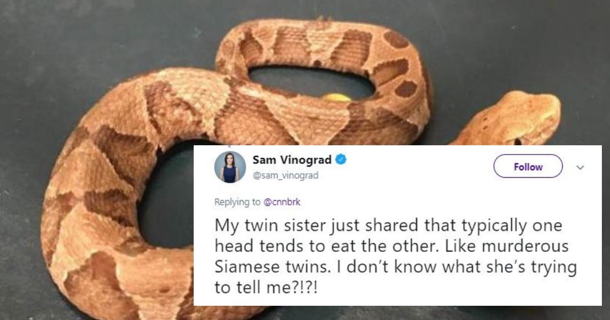 A Rare Two-Headed Baby Snake Was Found In Someone's Yard In Virginia 😱