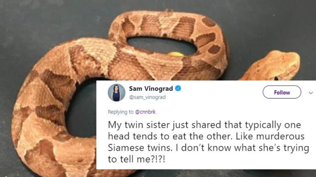 A Rare Two-Headed Baby Snake Was Found In Someone's Yard In Virginia 😱