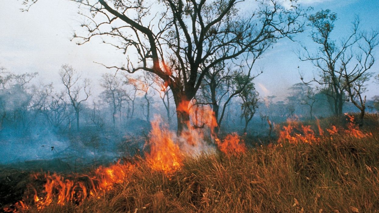 Border Patrol Agent Whose 'Gender Reveal' Party Started A Massive Fire Learns His Punishment