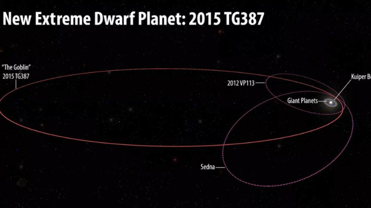 Newly-Discovered Dwarf Planet Called 'The Goblin' Gets Astronomers One Step Closer To Finding Planet X