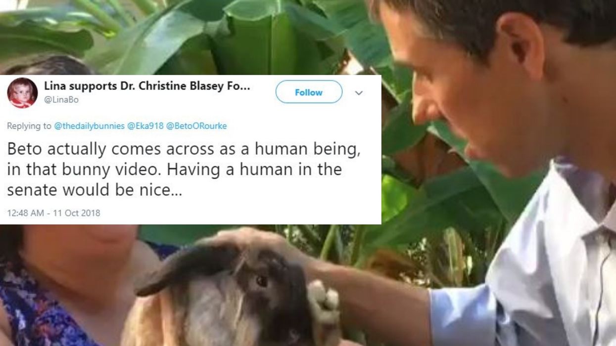 We Don't Deserve This Video Of Beto O'Rourke Petting A Bunny Named Rainbow đ