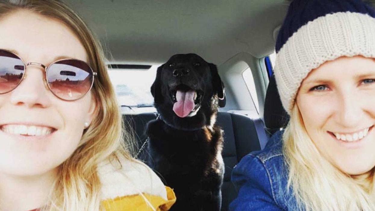 Marine Biologist Bride-To-Be Has Memory Of Family- And College Degree- Wiped By Brain Infection