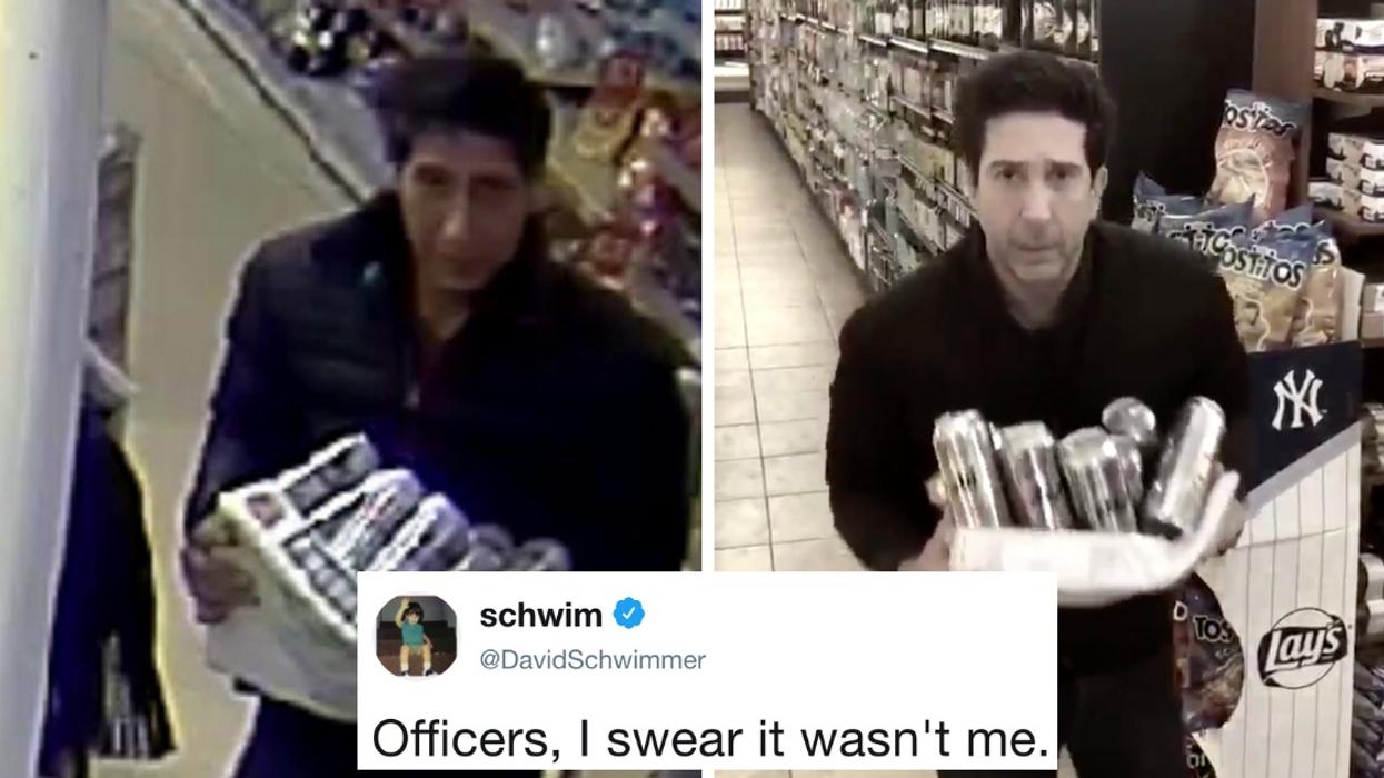 Social Media Had A Field Day With David Schwimmer's Response To His Thief Doppelgänger