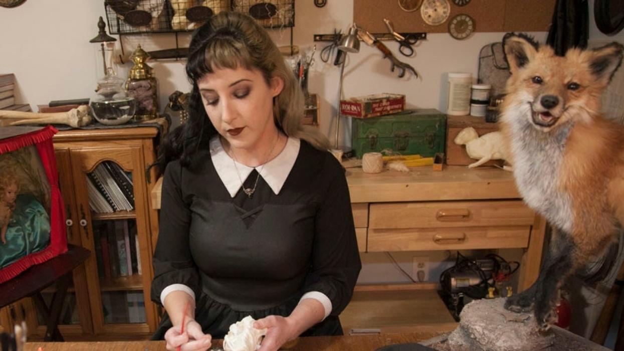 Woman's Fascination With Taxidermy Was Sparked By Her Battle With Rare Bone Tumor