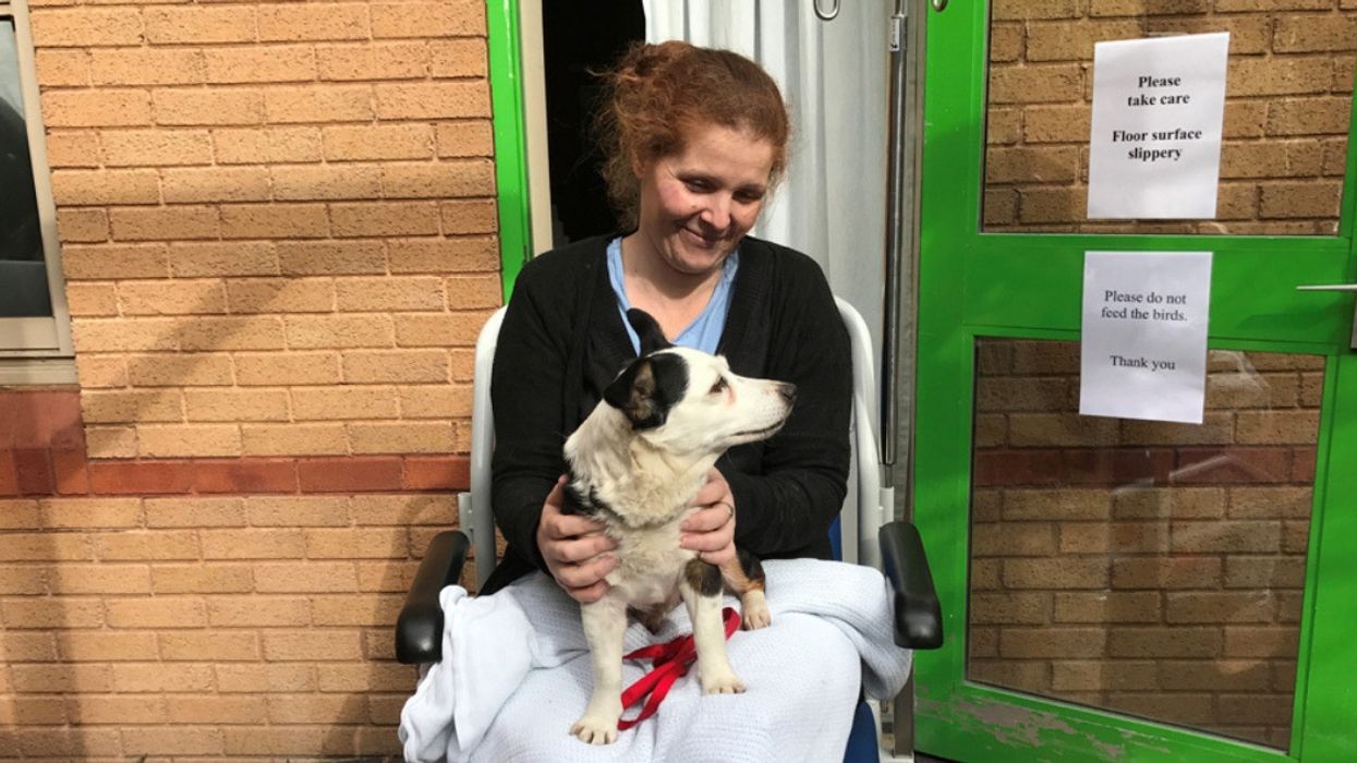 Woman Reveals How Tripping Over Bush While Walking Her Dogs Led To Stage Four Cancer Diagnosis