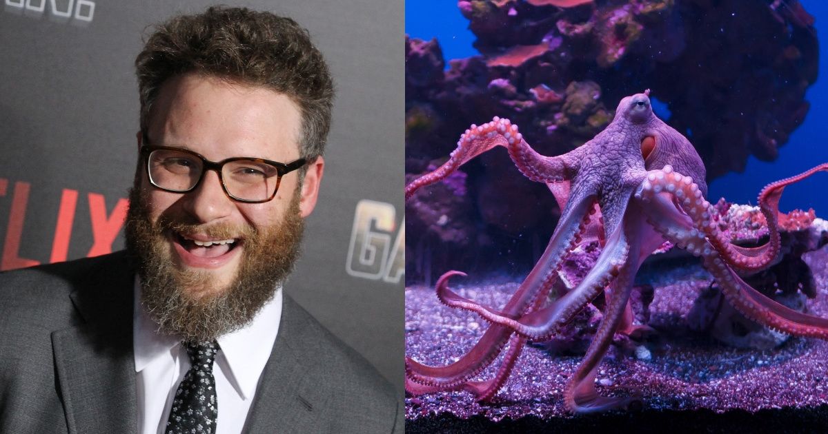 The Vancouver Aquarium Just Named An Octopus After Seth Rogen—And He Couldn't Be Happier 😍