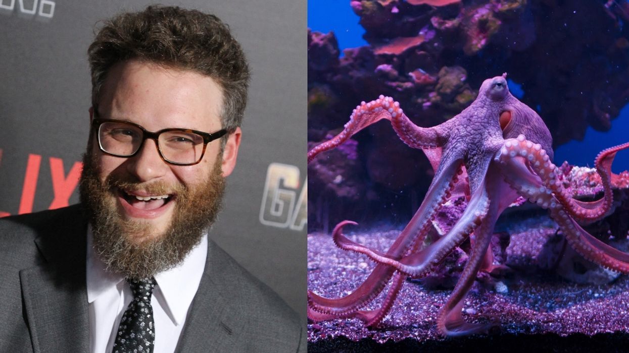 The Vancouver Aquarium Just Named An Octopus After Seth Rogen—And He Couldn't Be Happier 😍