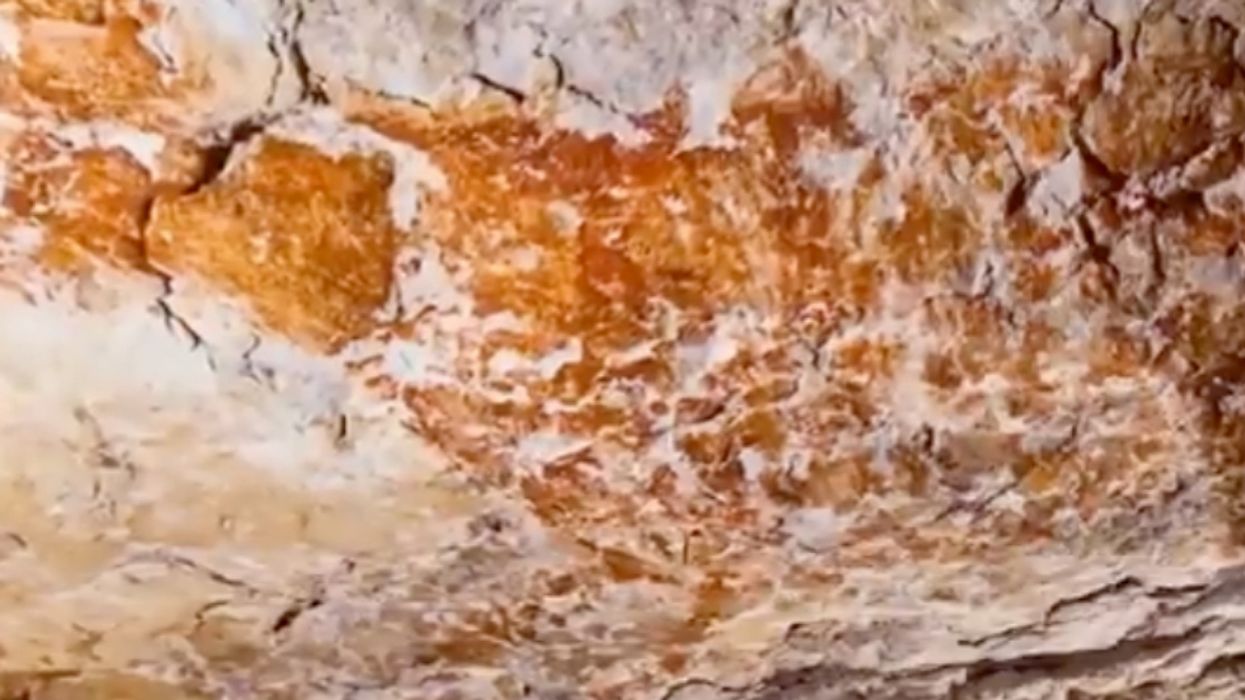 Discovery Of 40,000-Year-Old Cave Painting Calls Into Question Humanity's Beginnings