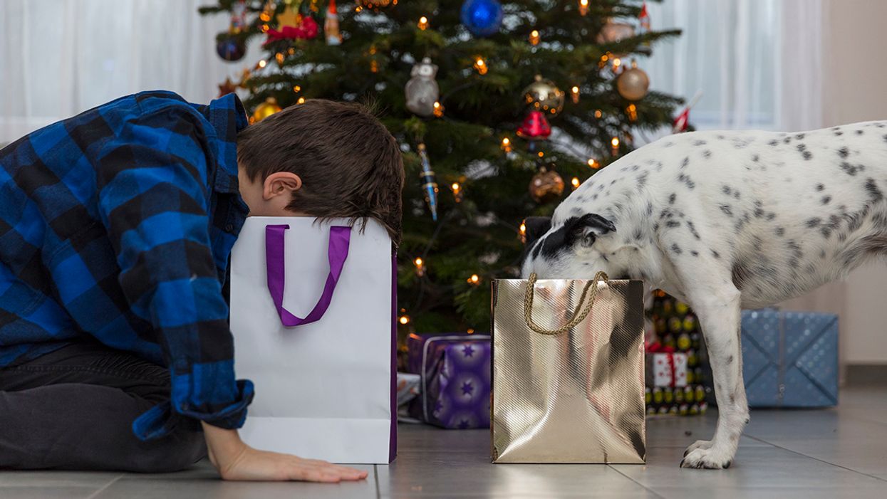 10 Unique 2018 Holiday Gift Ideas for Dog Lovers