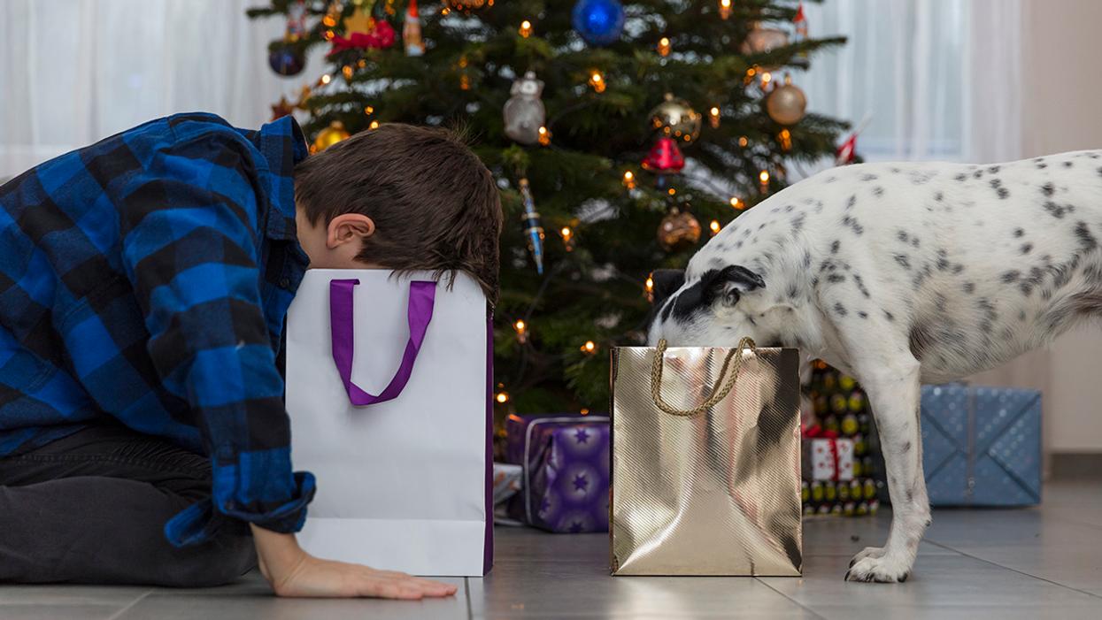 10 Unique 2018 Holiday Gift Ideas for Dog Lovers