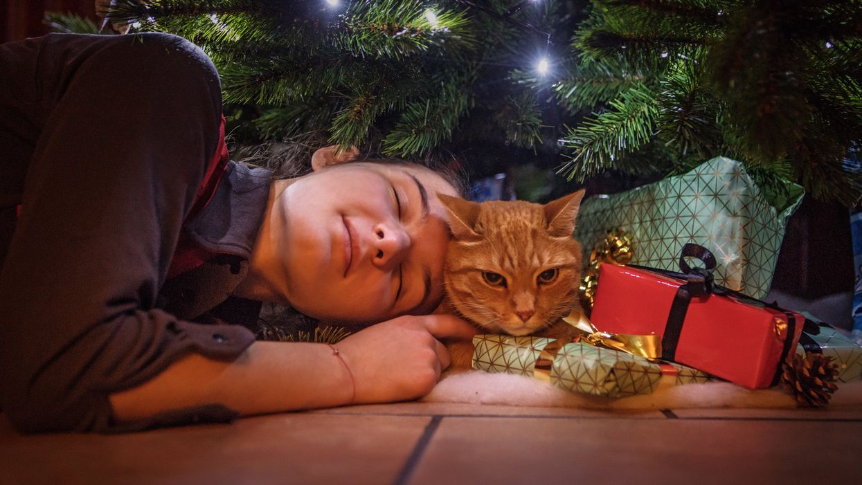 10 Unique 2018 Holiday Gift Ideas for Cat Lovers