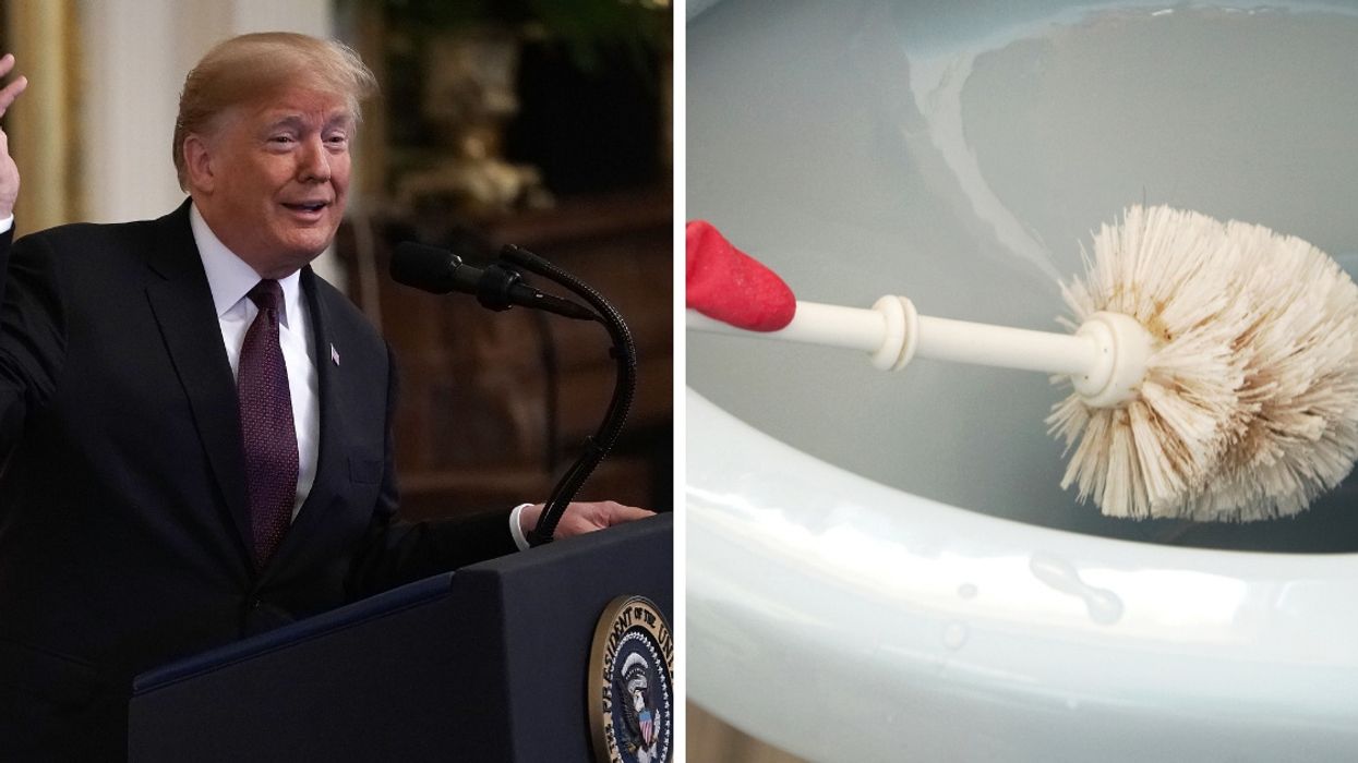 Someone Is Making Donald Trump Toilet Brushes—And We're Updating Our Wish List 🙌