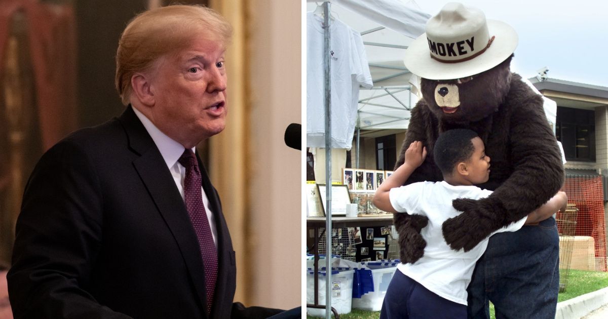 A Trump Tweet Criticizing The Smokey Bear Commercials Just Came Back To Bite Him Hard 🔥