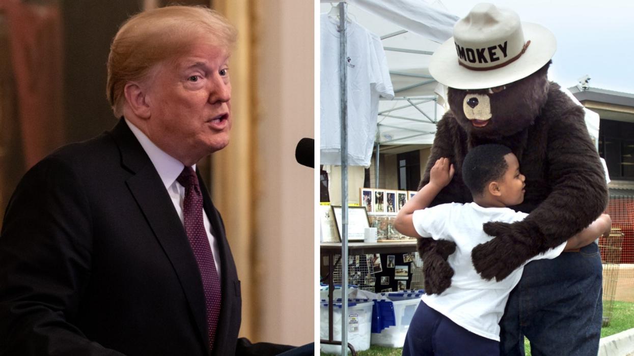 A Trump Tweet Criticizing The Smokey Bear Commercials Just Came Back To Bite Him Hard 🔥