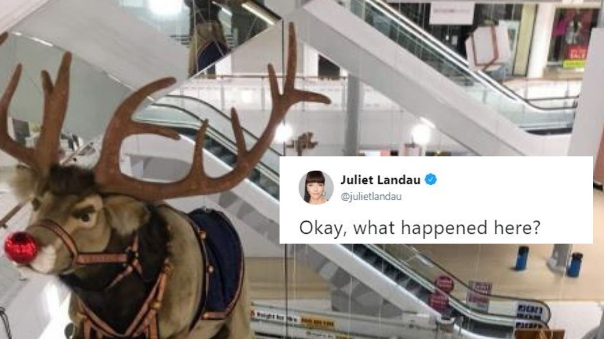 A Tragic Mall Christmas Display Of Rudolph And The Reindeer Prompts Some Hilariously Festive Jokes 😂