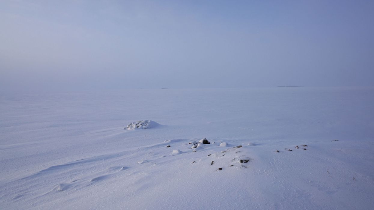 Forget 2018, Researchers Reveal The Absolute Worst Year To Be Alive In Human History