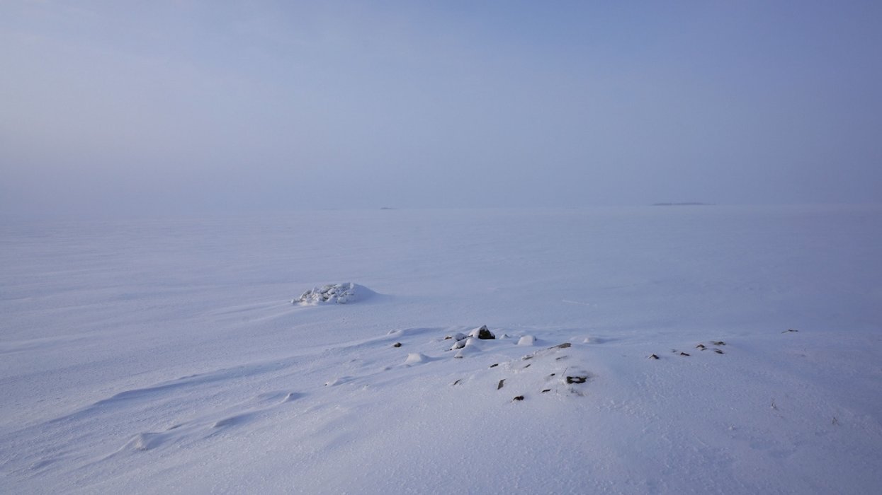 Forget 2018, Researchers Reveal The Absolute Worst Year To Be Alive In Human History