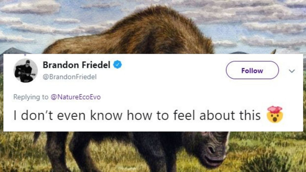 New Research Reveals That Giant 'Siberian Unicorns' Lived Alongside Humans Thousands Of Years Ago 😮