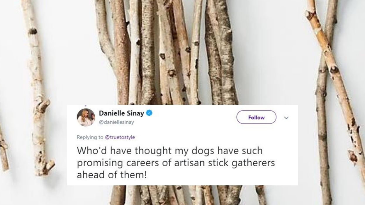 Anthropologie Is Selling An Expensive Bundle Of Actual Twigs—And Twitter Can't Even 😐