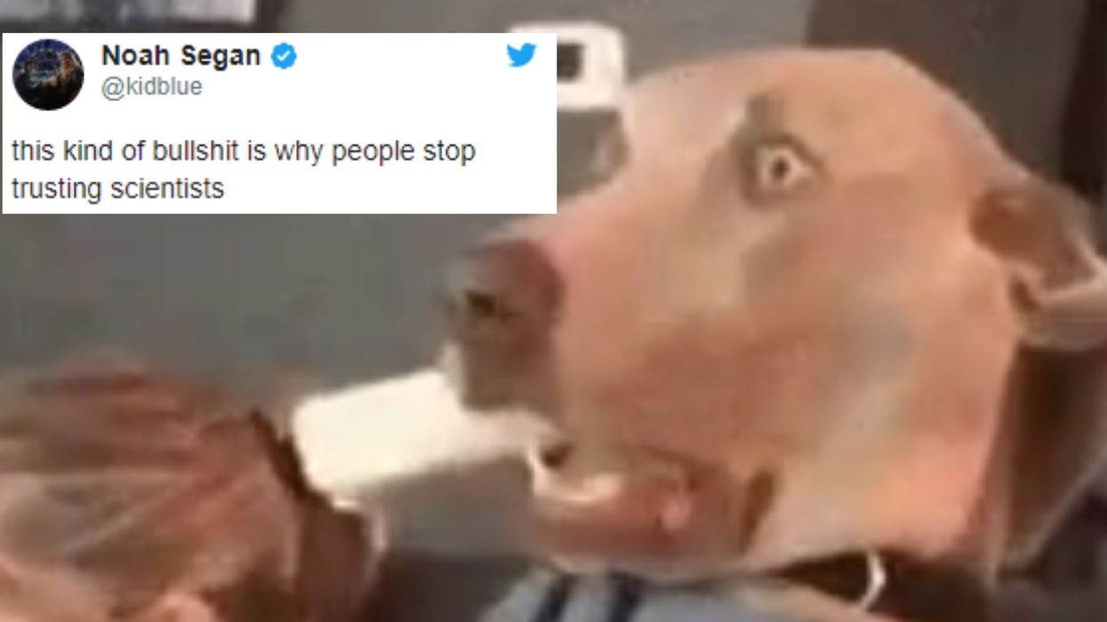 Scientific Study Concludes That Dogs Are 'Not Exceptional'—And The Reactions Are Priceless 😂