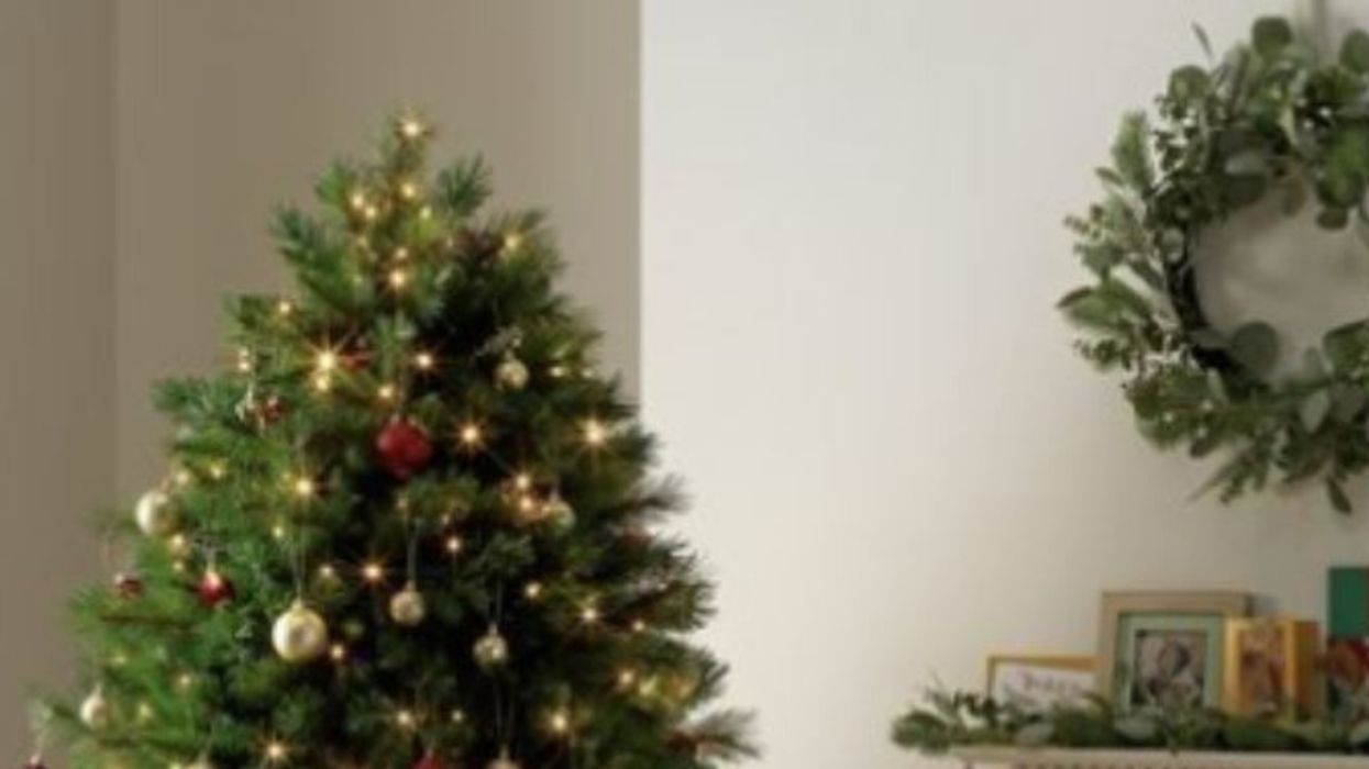 Argos Is Selling The Perfect Christmas Tree For People With Destructive Pets—And We're Cheering 🎄🙌